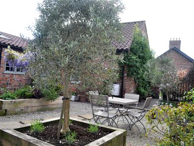 Picture 24